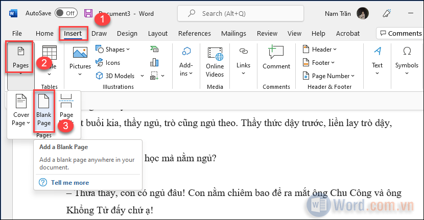 Chọn Blank Page