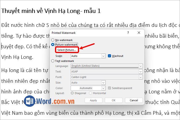 Chọn Picture watermark, tiếp theo chọn Select Picture