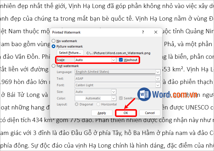 Tùy chỉnh scale, washout, sau đó chọn OK để tạo watermark