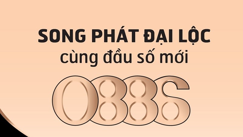 Các đầu số 088 phổ biến