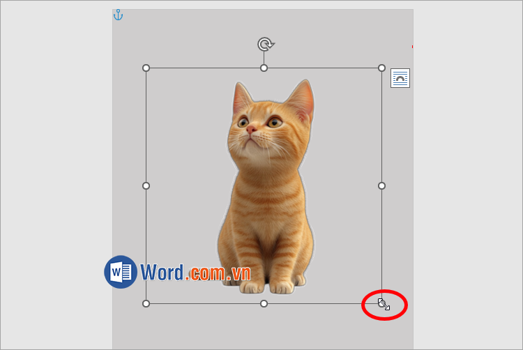 Nhấn giữ vào các núm tròn tại góc cạnh hình ảnh và kéo