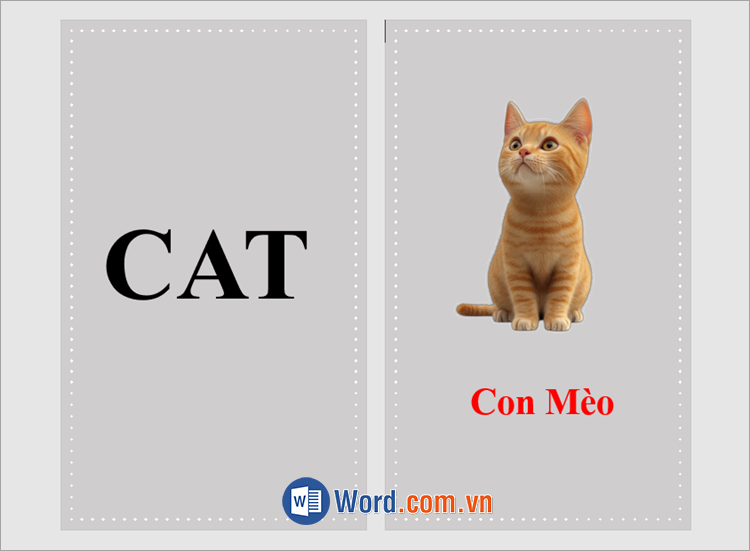 Nhập nội dung cho mặt sau Flashcard