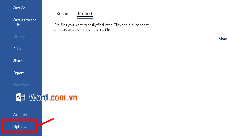 Thiết lập trước khi in bằng cách chọn File → Options