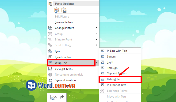 Chọn Wrap Text → Behind Text