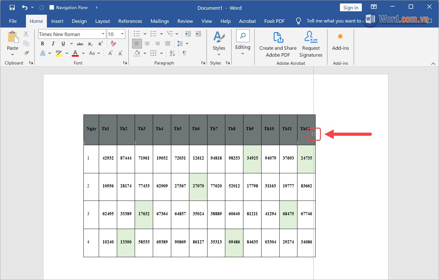 Nhấn giữ vào đường kẻ cột ngoài cùng và kéo để co bảng trong Word