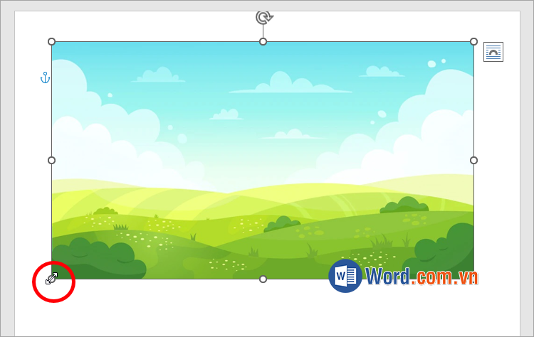 Tùy chỉnh kích thước và vị trí của hình ảnh