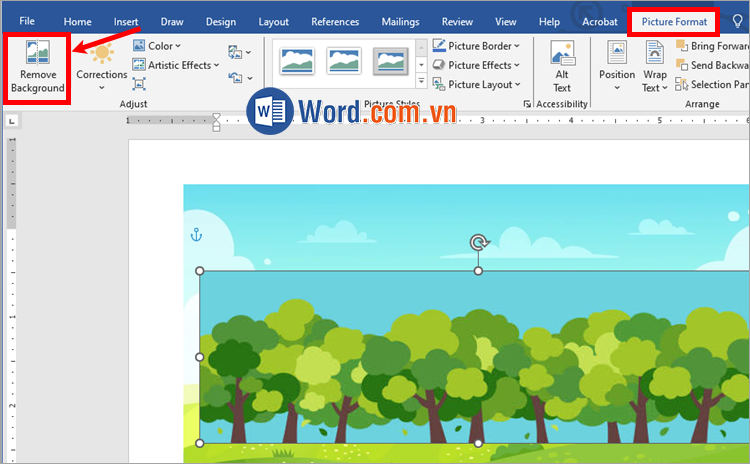 Xóa nền chọn hình ảnh → Picture Format → Remove Background