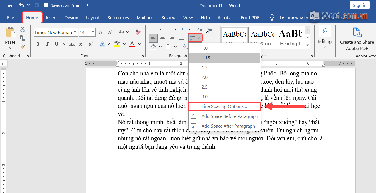Chọn Home → Line Spacing → Line Spacing Options Chọn Home → Line Spacing → Line Spacing Options
