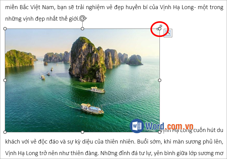 Chỉnh sửa kích thước hình ảnh bằng cách di chuyển con trỏ chuột