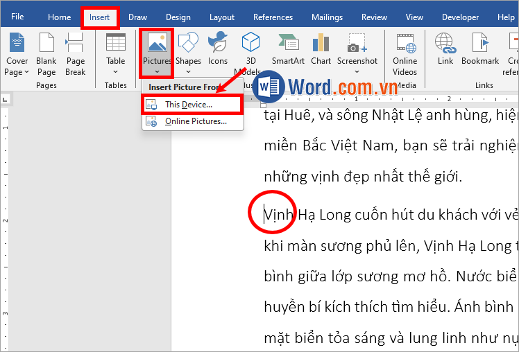 Chọn Insert → Picture → This Device