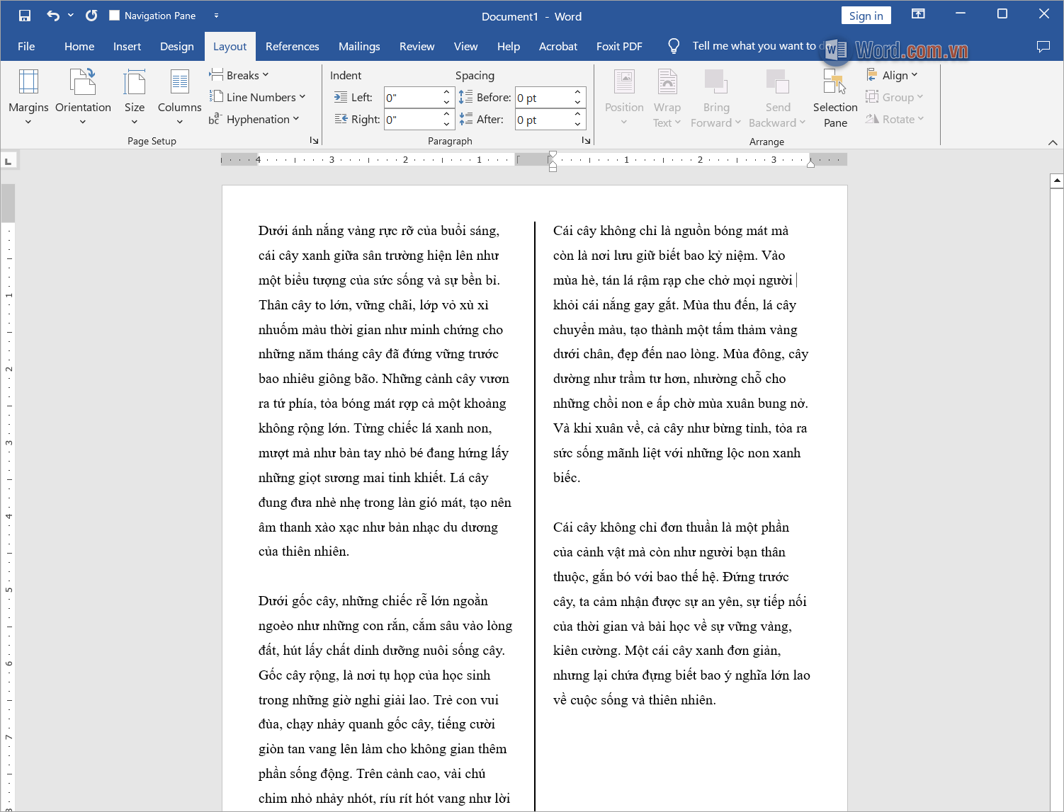 Hoàn tất việc chia cột có đường kẻ trong Word