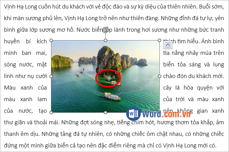 Nhấn giữ hình ảnh và di chuyển ảnh vào giữa văn bản mà bạn muốn