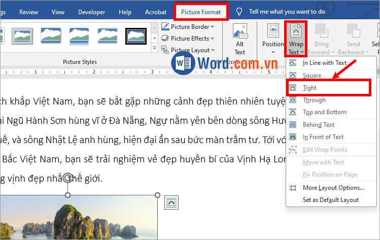 Nhấn Picture Format → Wrap Text → Tight hoặc Through