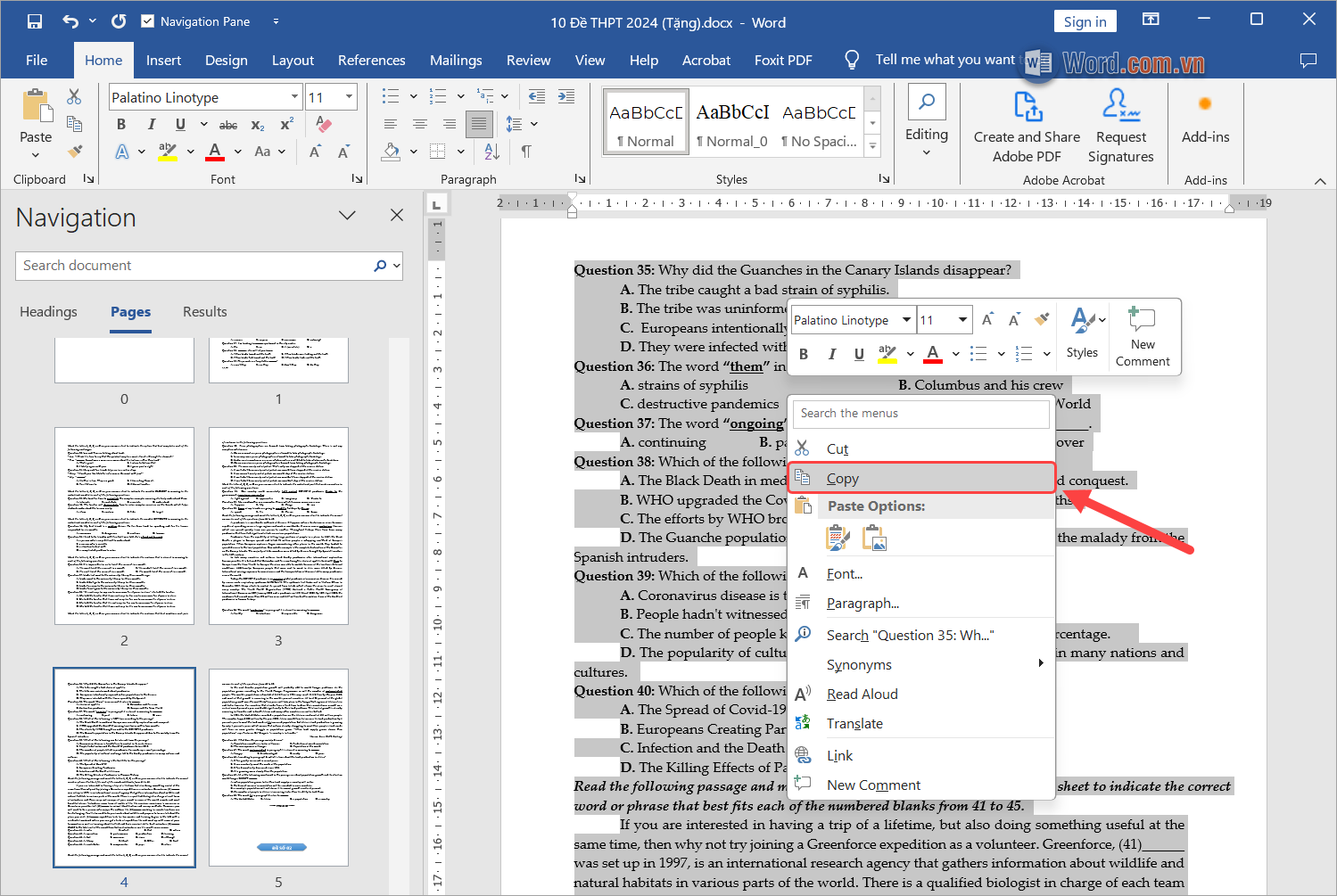 Bôi đen nội dung trang cần tách trong Word rồi ấn Copy