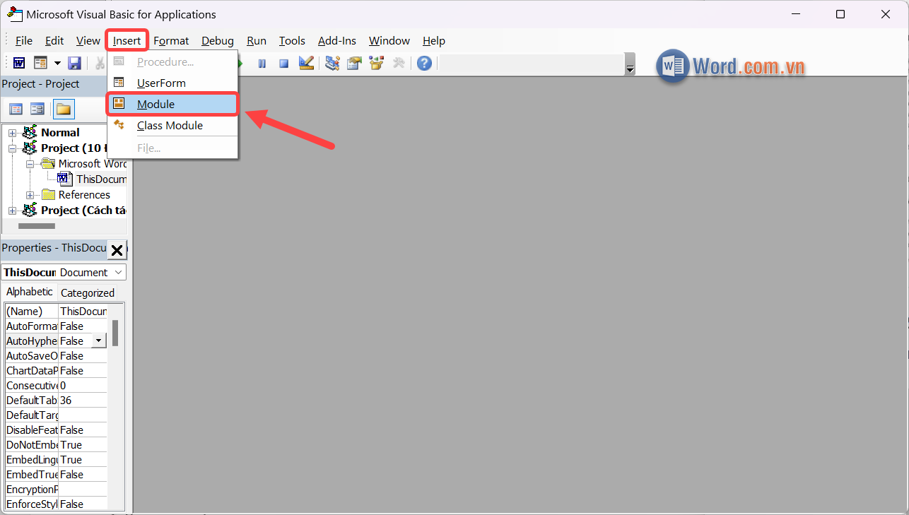 Chọn Insert → Module để mở công cụ soạn thảo code