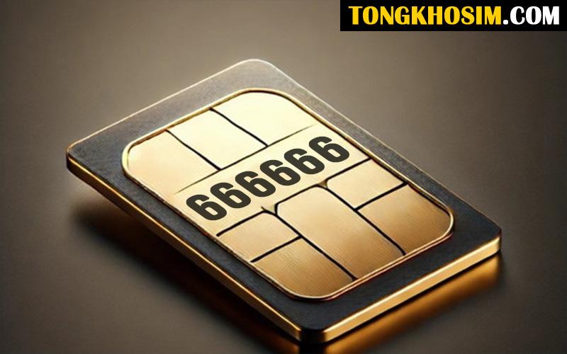 Sim lục quý là gì và tại sao nó lại được ưa chuộng?