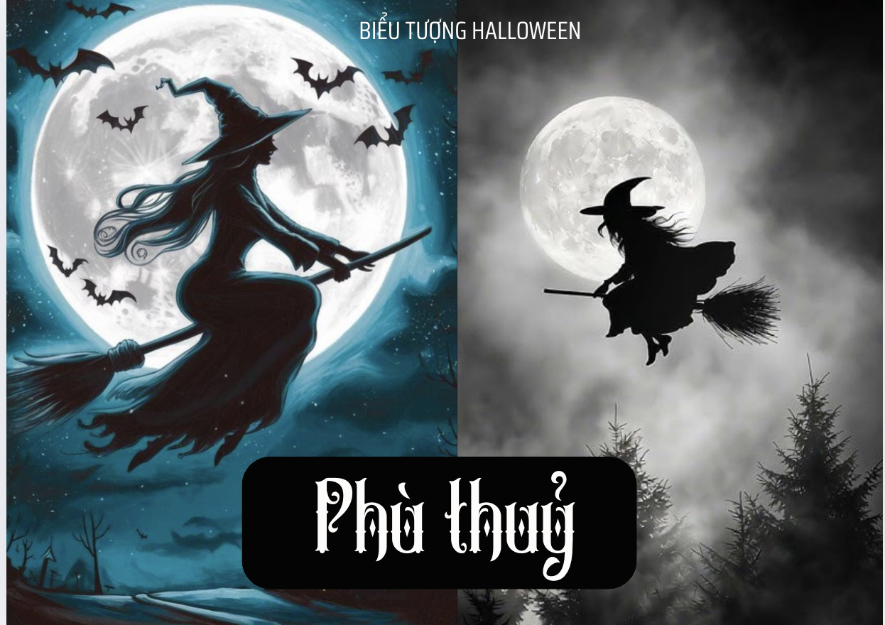 Phù thủy và chổi bay